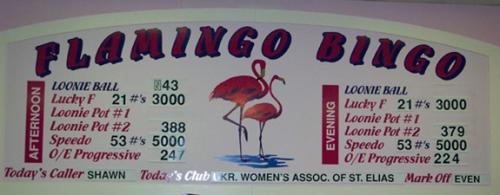 Fundraising Bingo 2003